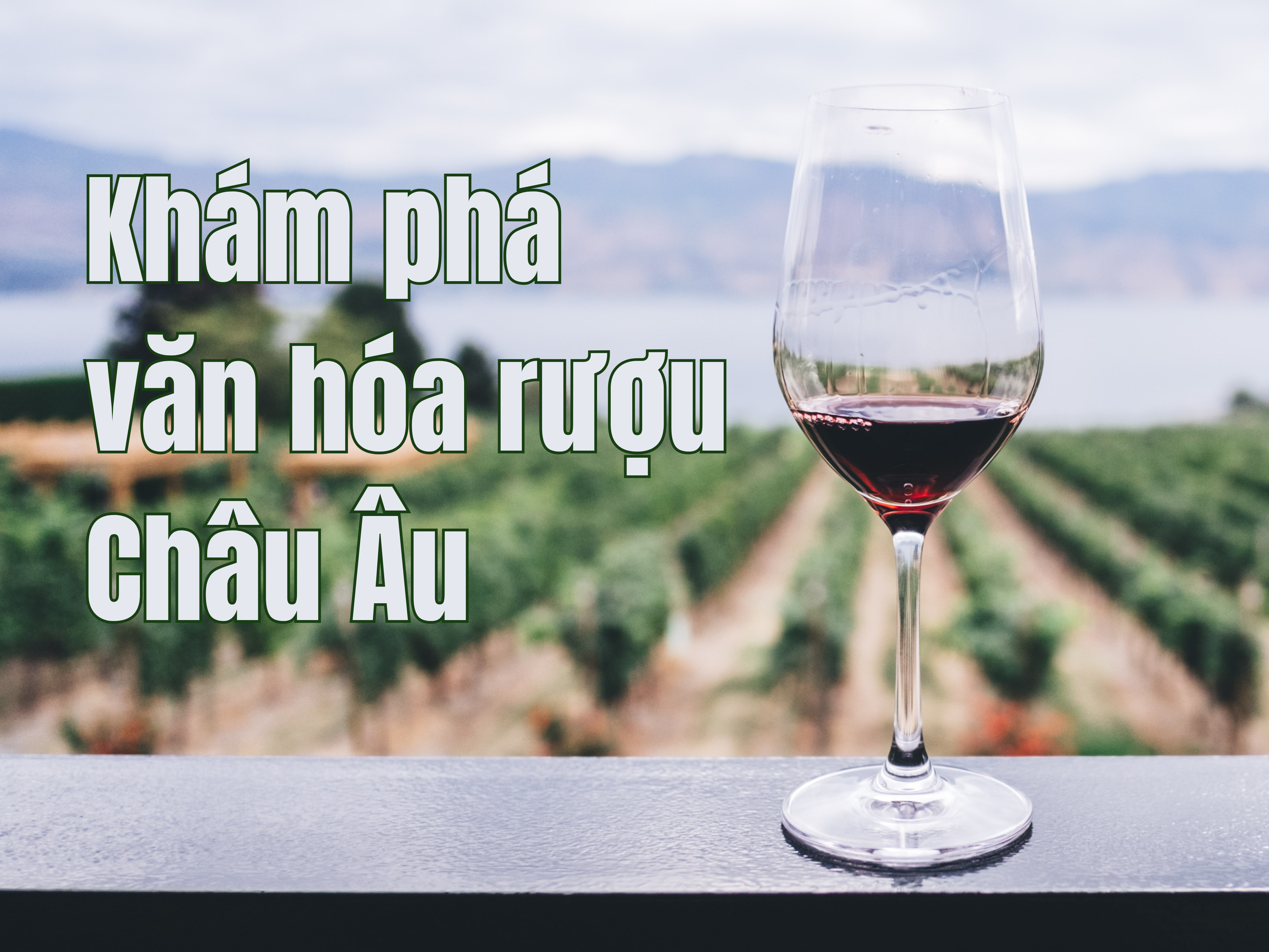 Khám phá văn hóa rượu châu Âu