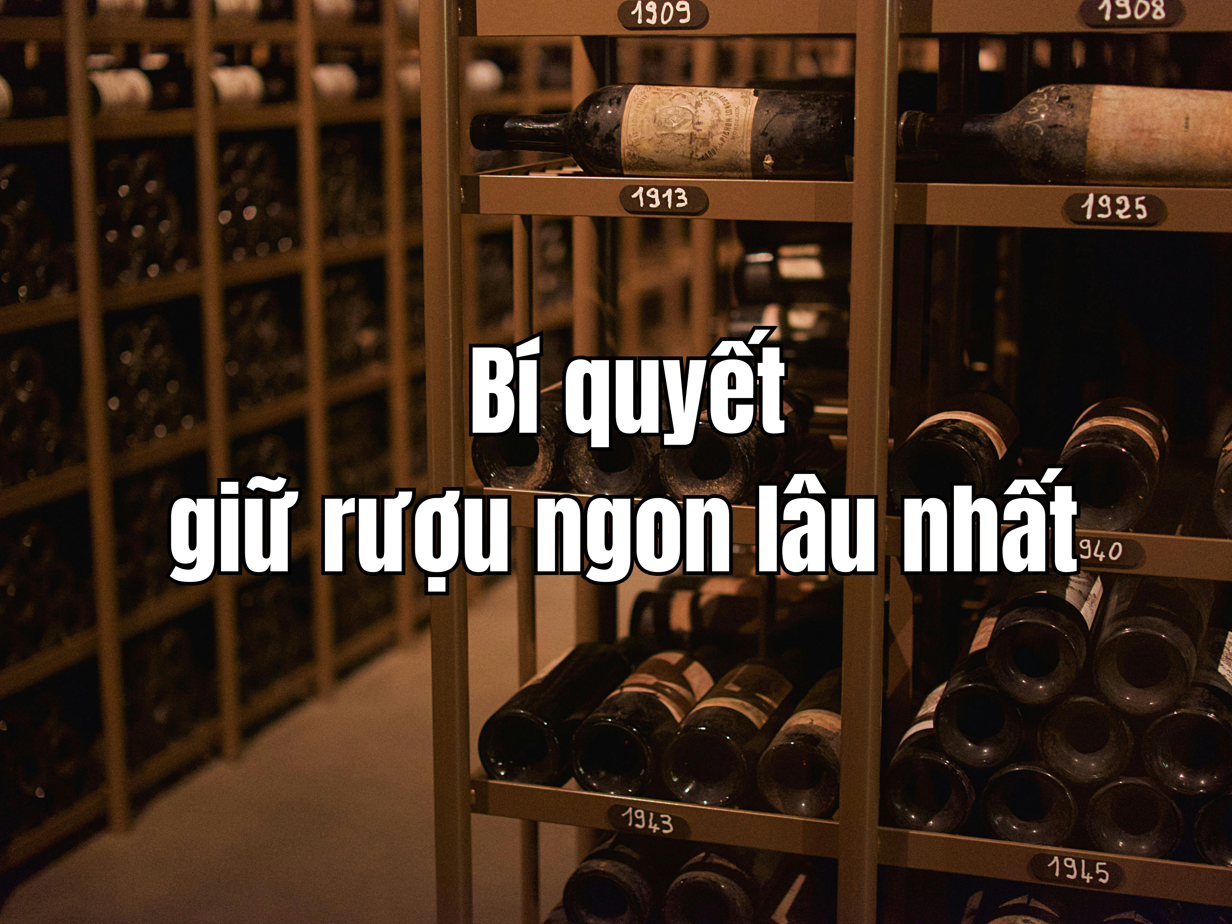 Bảo quản rượu trong tủ lạnh có tốt không? Bí quyết giữ rượu ngon lâu nhất