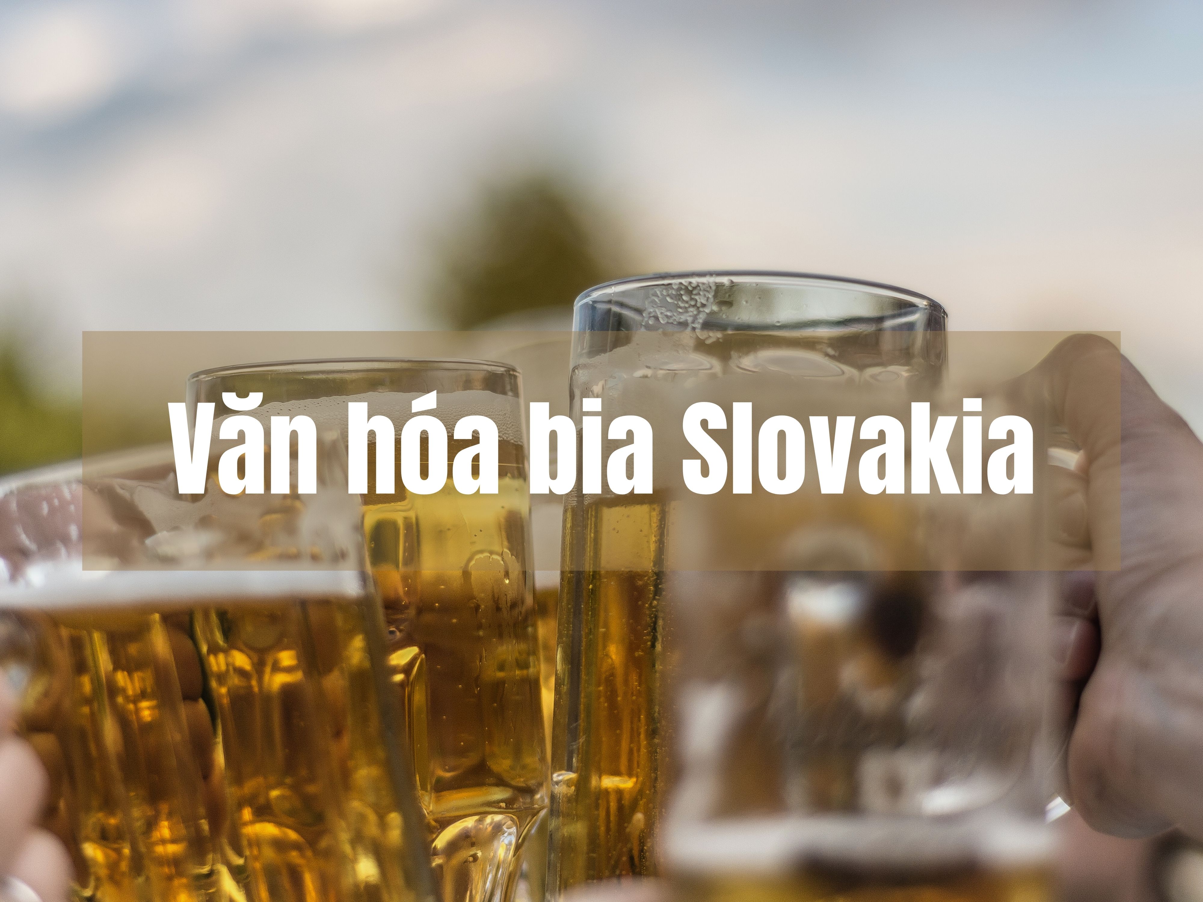 Văn Hóa Cụng Ly Ở Slovakia