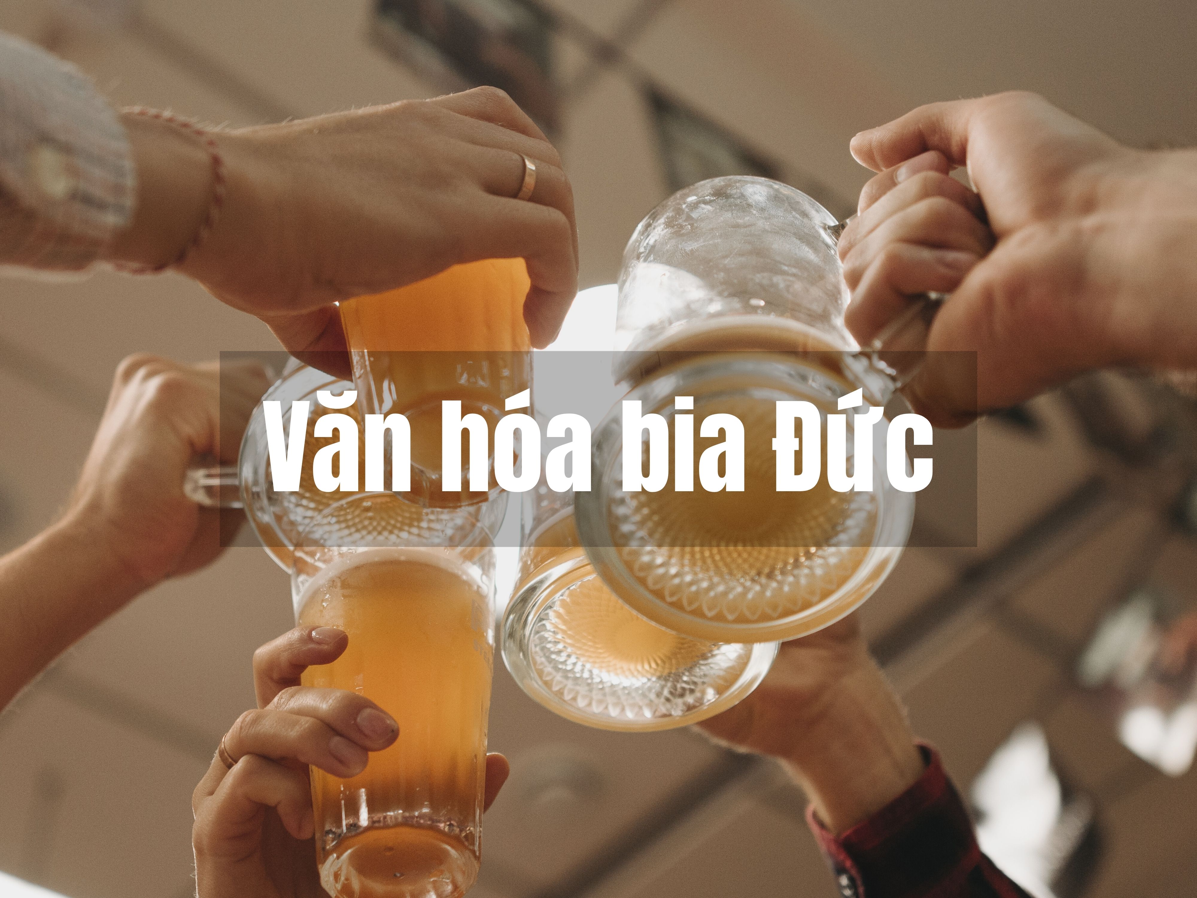 Văn hóa bia Đức