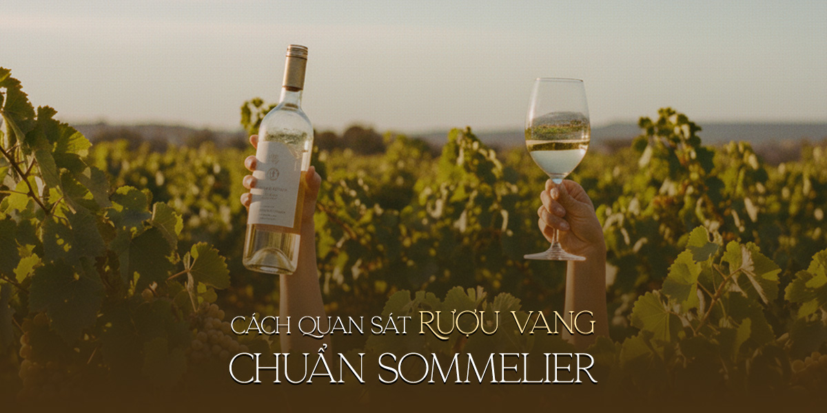 Cách Quan Sát Rượu Vang Chuẩn Sommelier