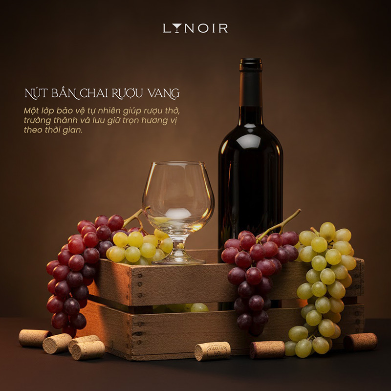 nút bần chai rượu vang